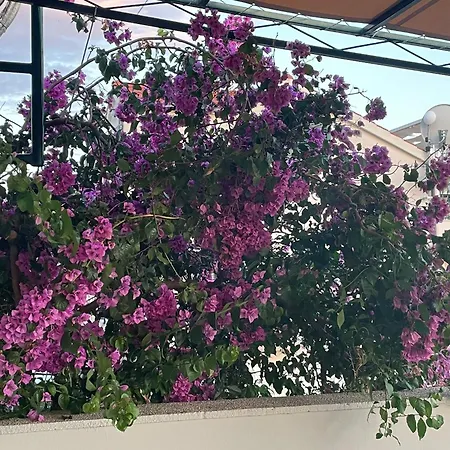 Bougainvillea Sea View Apartment Grebastica