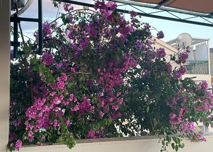 Bougainvillea Sea View Appartement Grebaštica